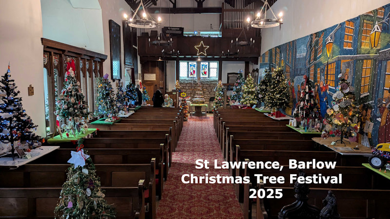 2025 Christmas Tree Festival