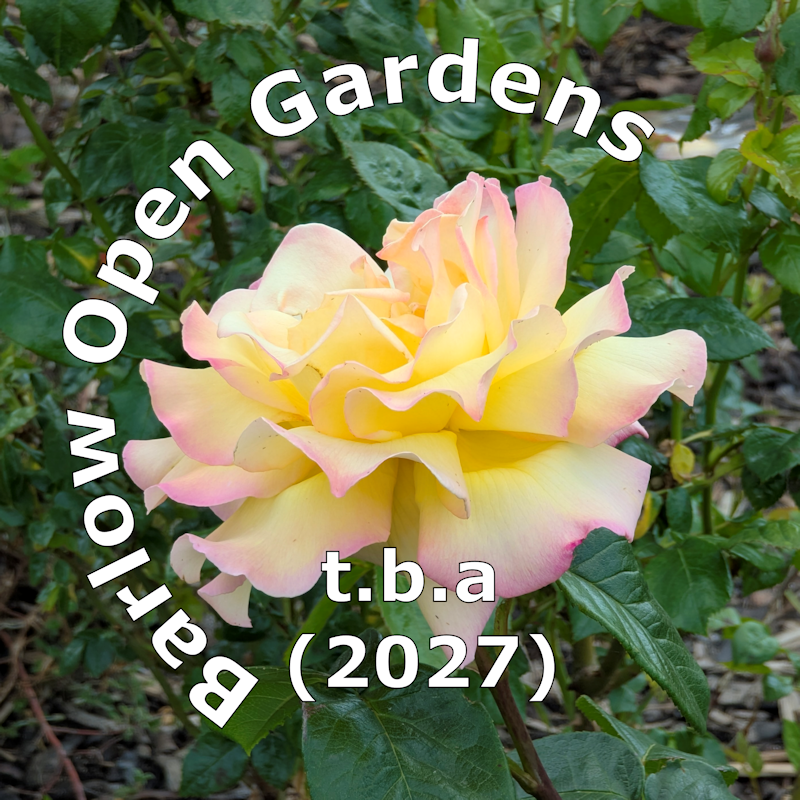 Barlow Open Gardens