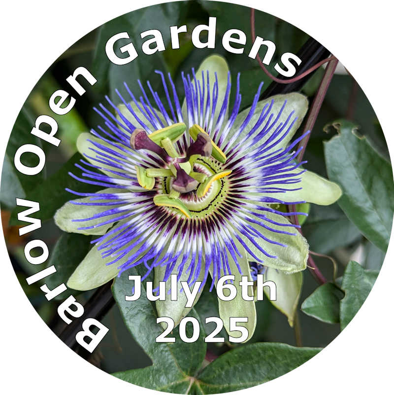 Barlow Open Gardens 2025 Logo